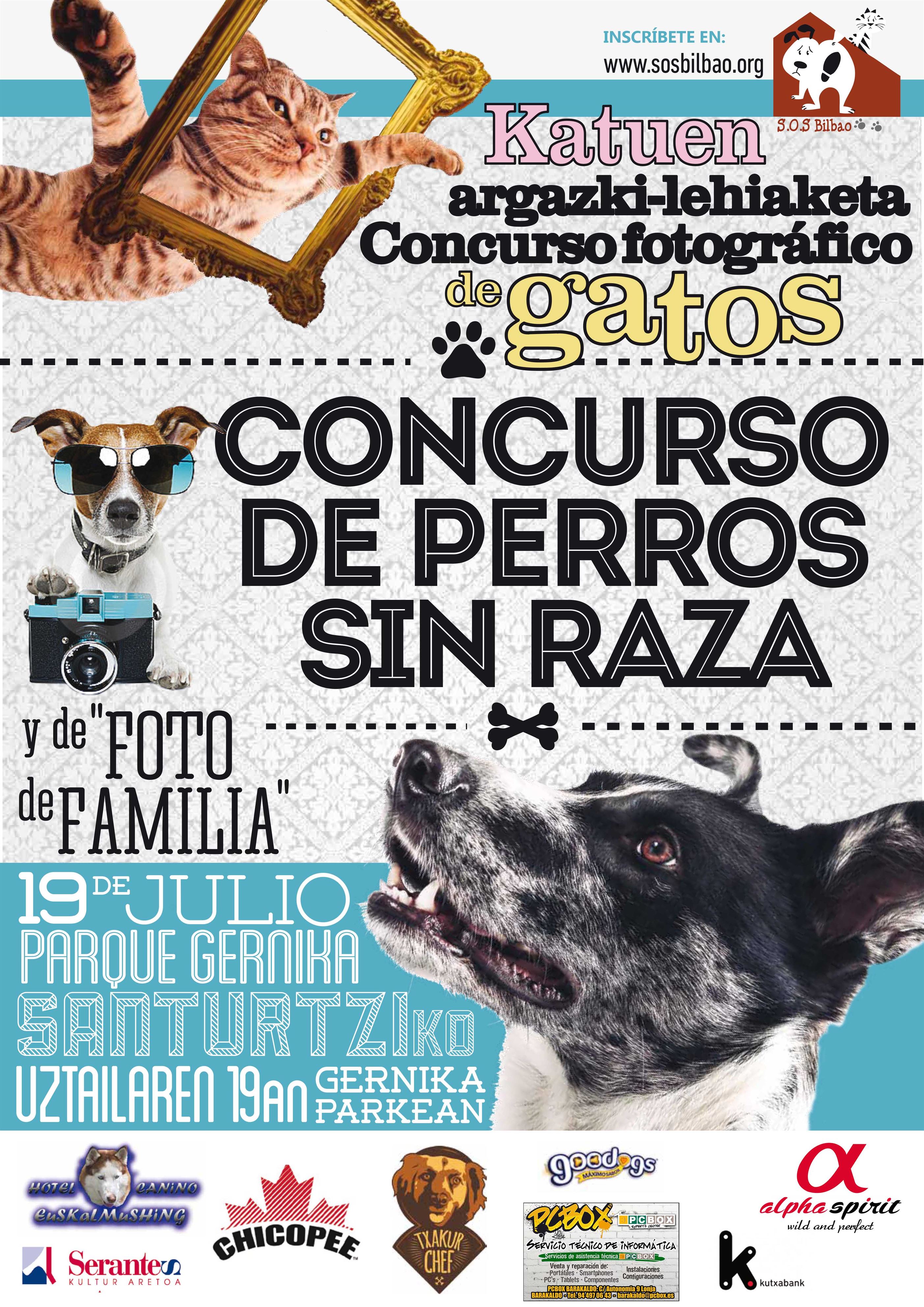 Demostrar bulto Cívico SOS Bilbao organiza la IX Edición de su Concurso De Perros sin Raza,  Fotográfico de Gatos y Fotográfico de Familia - Tele7