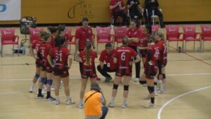 Balonmano Zuazo