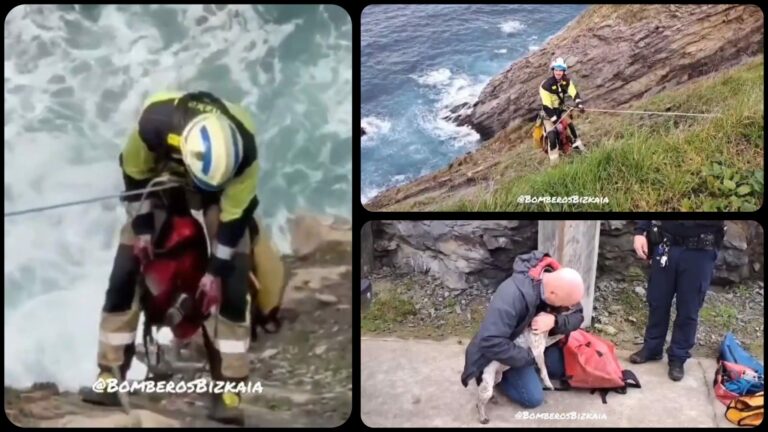 Segundo perro rescatado por los bomberos de los acantilados de Itsaslur en apenas 15 días